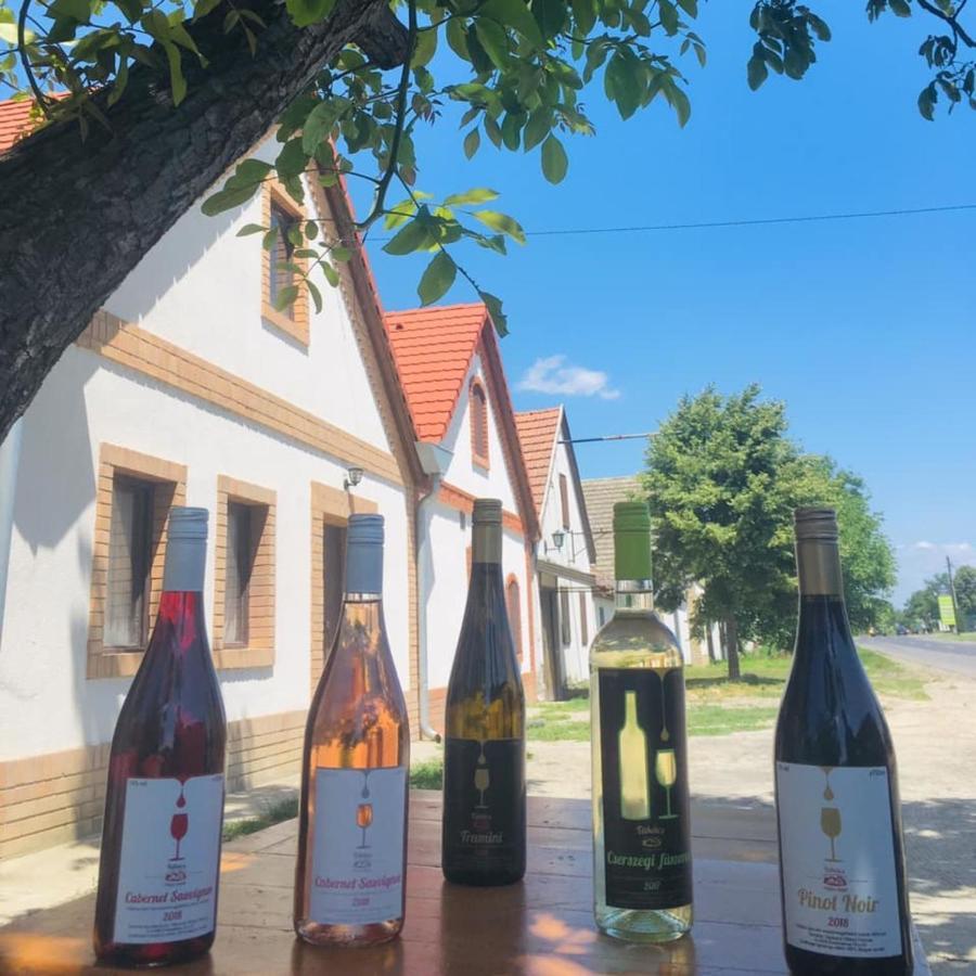 Takacs Pince Apartman Hajos Bagian luar foto